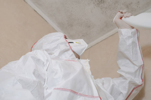 Best Office Mold Removal Services  in Asbury Lake, FL