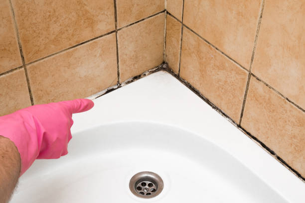 Best Professional Mold Removal  in Asbury Lake, FL